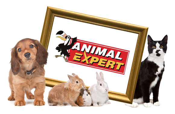 Animal Expert